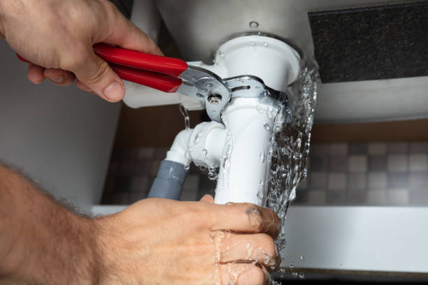 Best Mold removal after water damage  in Cornell, WI